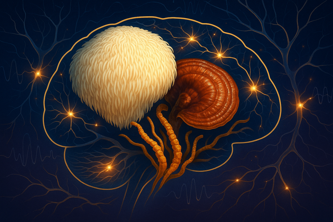 How to Create New Neural Pathways in the Brain